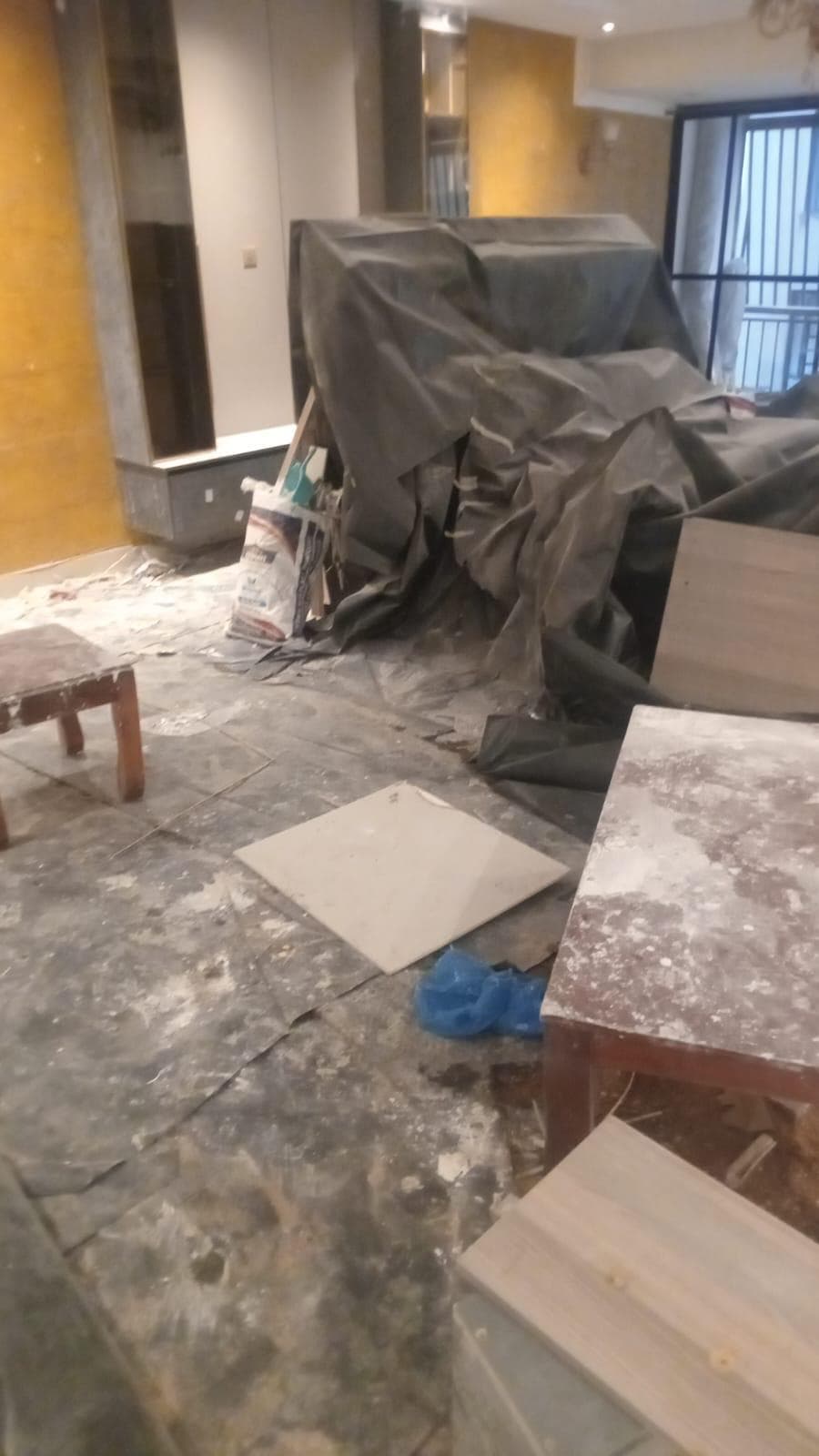 house cleaning — before